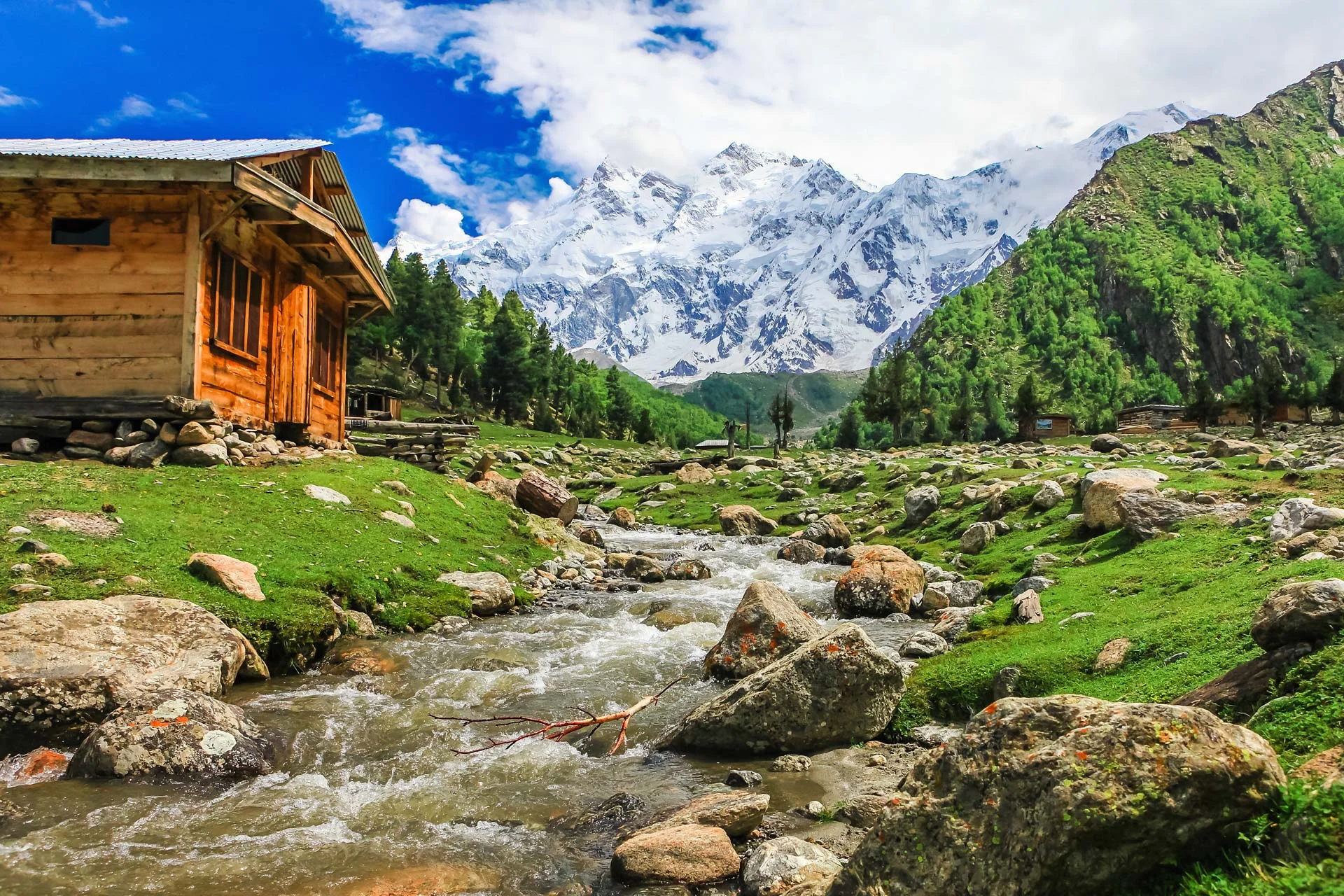 Fairy Meadows